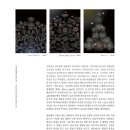 월광컴퓨터 이미지
