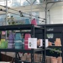 헬로우마켓 이미지