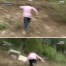 봄날김밥 이미지