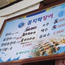 꼼지락장어 이미지