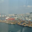 남항유리