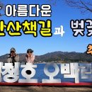 무심재투어, 가장 아름다운 대청호 산책길과 보청천 벚꽃길 [종구튜브여행] 이미지