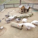 주주농장 이미지