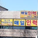 매일인력용역 이미지
