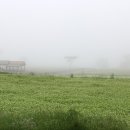 보롬제주 이미지