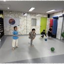 강철태권도 이미지
