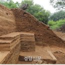 강화중성 이미지