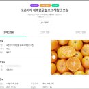 오촌농장 | 오촌아재 감귤 블로그 체험단 모집기 &amp; 네이버 쇼핑 광고 설정