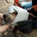 수배농장 이미지