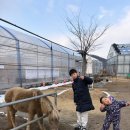 이가농장 | 용인 실내가볼만한곳 포레스트벨 체험농장 겨울에도 놀거리 가득