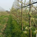 장금농장 이미지