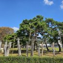 3.1.운동 기념비 맞은편 이미지