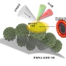경희세탁 이미지