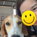 인애농장 이미지