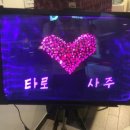 오즈테라피 이미지