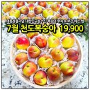특별한농수산 | 대한민국농수산 천도복숭아 : 후숙 방법과 짓무름 방지 보관법 (다이소 유산지 활용 꿀팁)