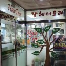 트리헤어(Tree Hair)