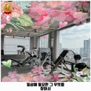 오르카짐 이미지