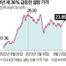 탕후루가게 이미지