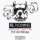 베이프독2Plus