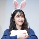 에이스크린 이미지