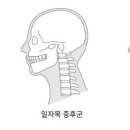 리앤뷰 필라테스 이미지