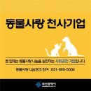도그천사 이미지