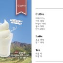 내장산 포레스트 네이버블로그