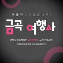 금곡국제여행사 이미지