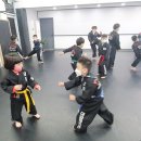 대일 합기도 체육관 이미지