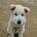 경북대학교치과병원 이미지