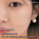 스틱파운데이션 추천 가히 스틱 파운데이션 내돈내산 후기 커버력