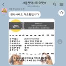 타요펫 모빌리티 | 서울펫택시 타요펫 타요펫이용후기(예약방법,금액)