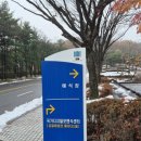 딜라잇시즌 이미지
