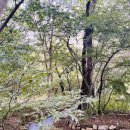 천년의 숲 화장실 | 🌿함양, 천년의 숲 상림을 갔어요(25.10.09)