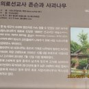 대구나무병원