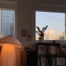 다지움 골프 | 25년 8월