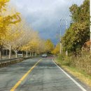 2021 코로나 극복 힐링 페스타 이미지