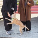 스테이두모 이미지