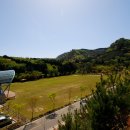 보성녹차리조트 이미지