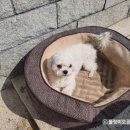 오공농장 이미지