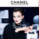 까멜리아 이미지