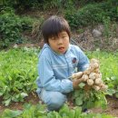 희준농장 이미지