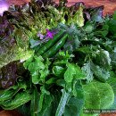 현대뚝배기쌈밥 이미지