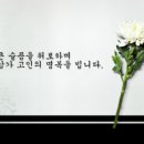 325015 이미지