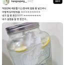 직원한테 레몬물 디스펜서에 얼음 좀 넣으라니 이렇게 되어있었음 ㅋㅋㅋㅋㅋ 이미지