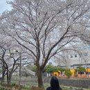 한양관양꼬치 이미지