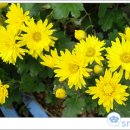 (주)정선환경 이미지