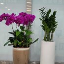 행복자이부동산중개사무소 이미지