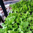 예나농장 이미지